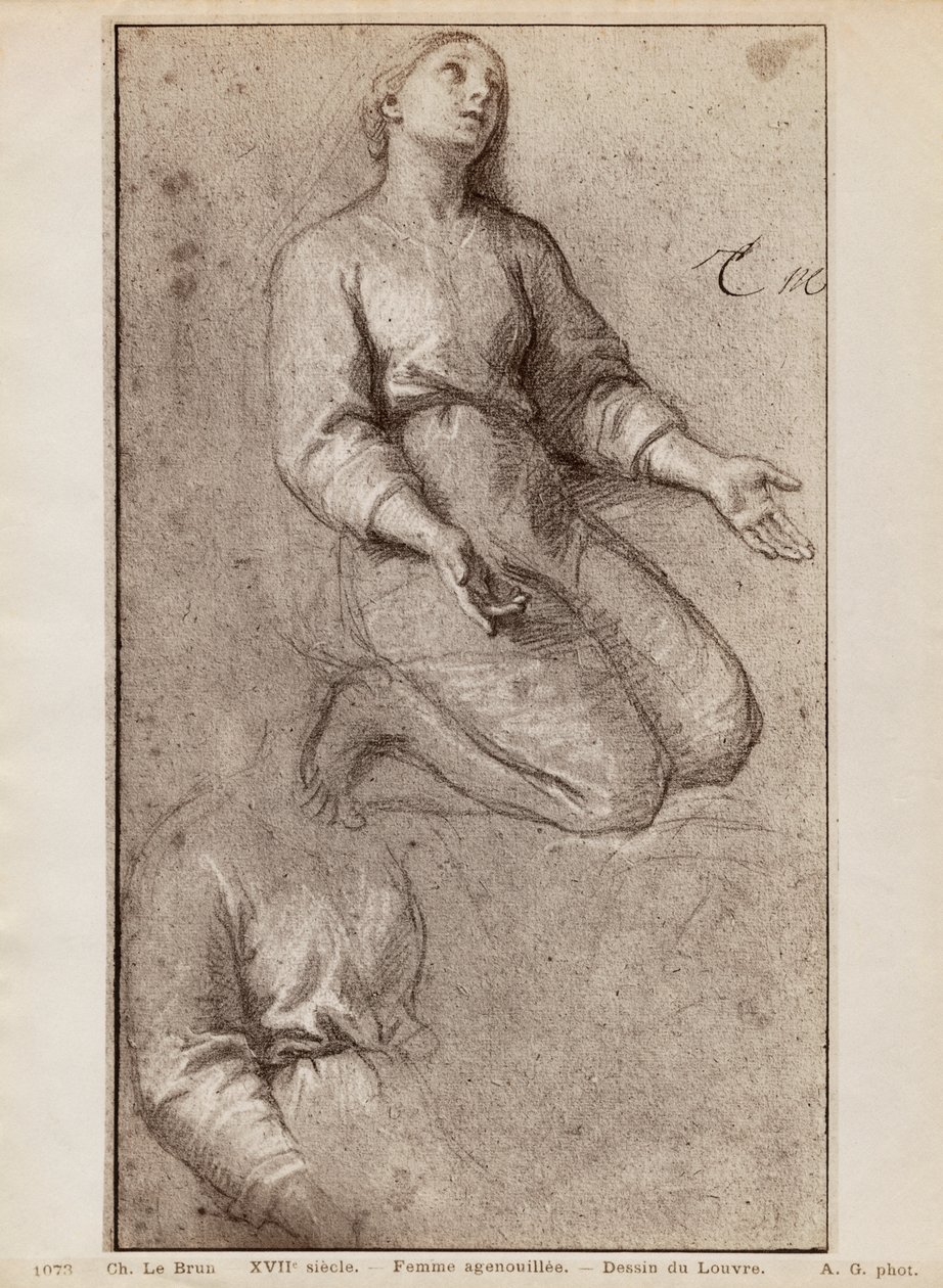 跪着的女人，c.1685（米色纸上的皮埃尔黑色和白色粉笔亮点） 作者 查尔斯·勒布朗
