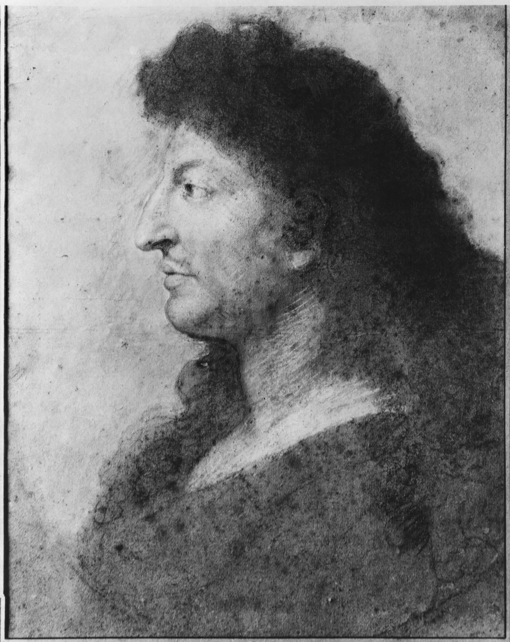 路易十四的肖像，裸露的脖子和长长的头发，c.1678（灰色米色纸上的粉彩和皮埃尔黑）（另见177108） 作者 查尔斯·勒布朗