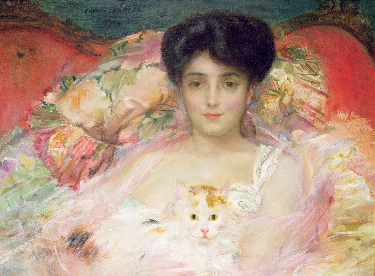 猫与女士，1904年（油） 作者 查尔斯·马萨德