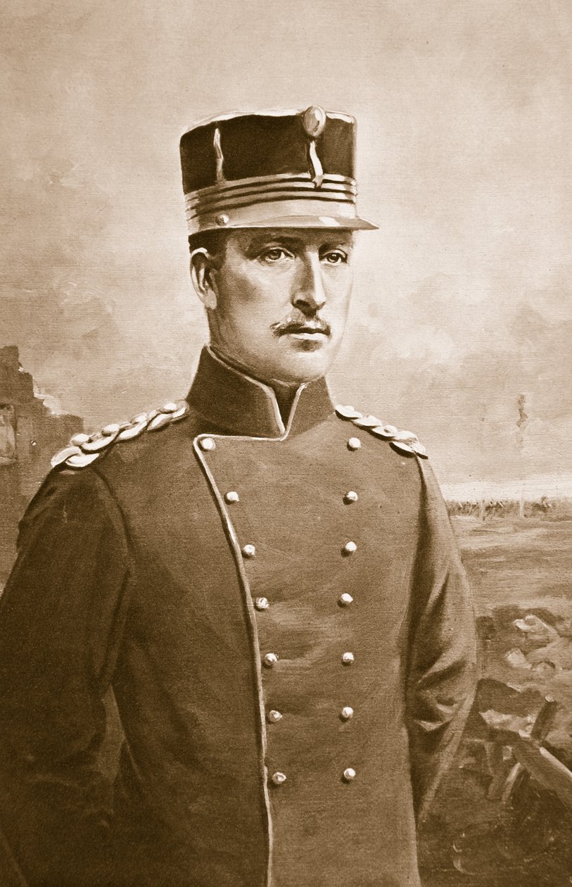 阿尔伯特一世比利时人之王，1914-19 作者 查尔斯·米尔斯·谢尔顿