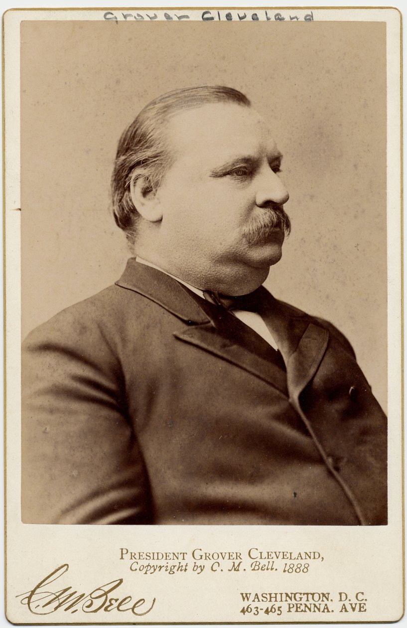 Stephen Grover Cleveland（1837-1908），美利坚合众国第22和第24任总统（蛋白照片） 作者 查尔斯·米尔顿·贝尔