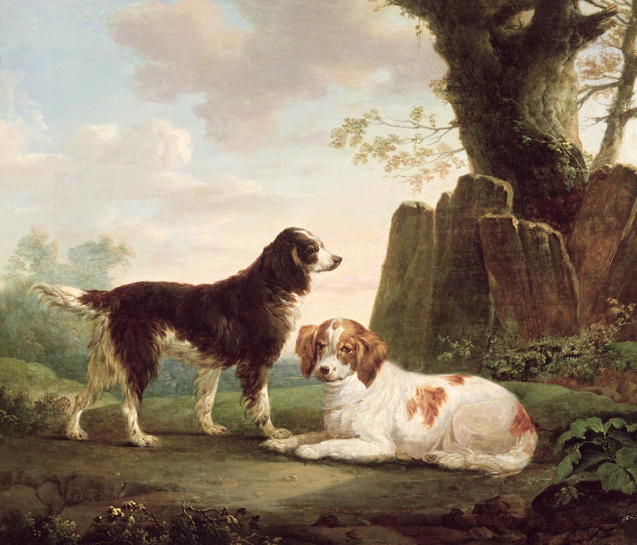 在风景的两个spaniels 作者 查尔斯·汤恩