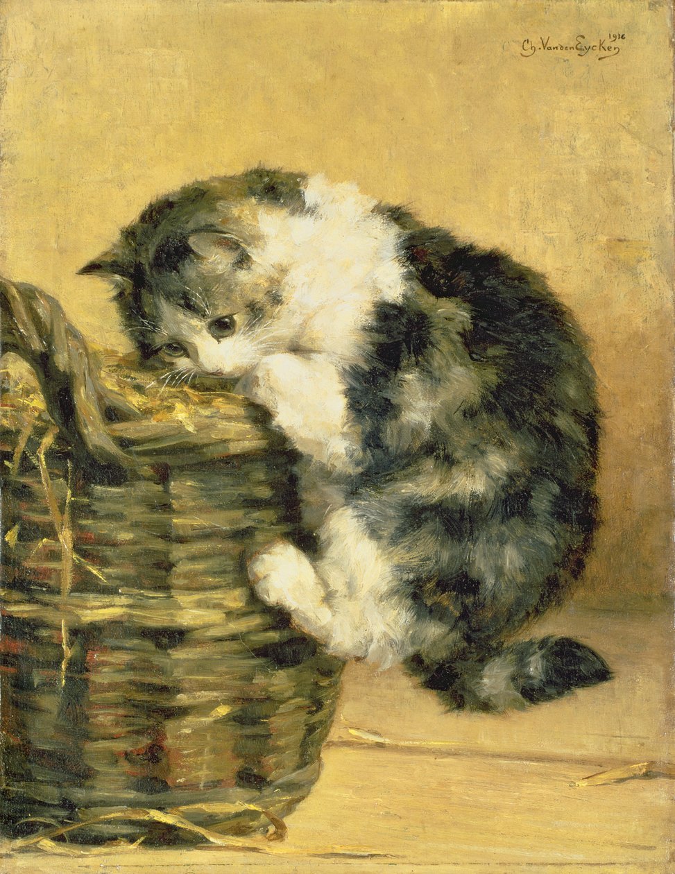 与篮子的猫 作者 查尔斯·范登艾肯