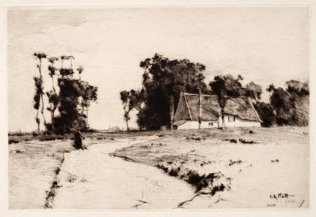 布列塔尼树木，1885-1887年。 作者 查尔斯·亚当斯·普拉特
