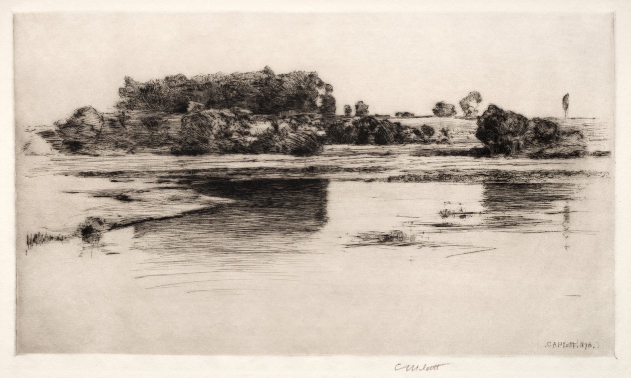 查尔斯河，1890年。 作者 查尔斯·亚当斯·普拉特