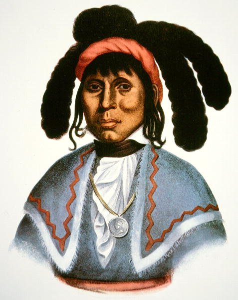 Micanopy (d.1849) c.1826 (彩色平版印刷) 作者 查尔斯·伯德·金