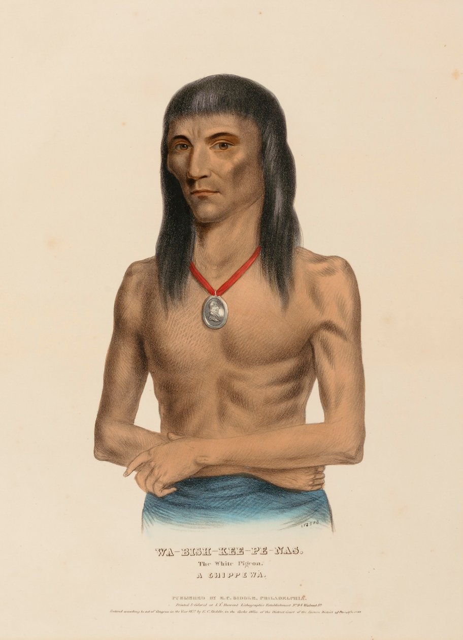 wa-bish-kee-pe-nas.白鸽北美印第安部落史》中的 "CHIPPEWA"。 作者 查尔斯·伯德·金