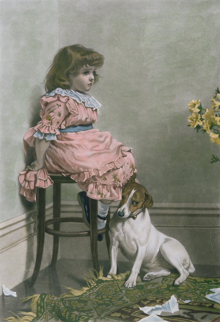 耻辱，由F. Stacpoole制作的mezzotint，手工着色，托马斯麦克莱恩的酒吧，1887年 作者 查尔斯·伯顿