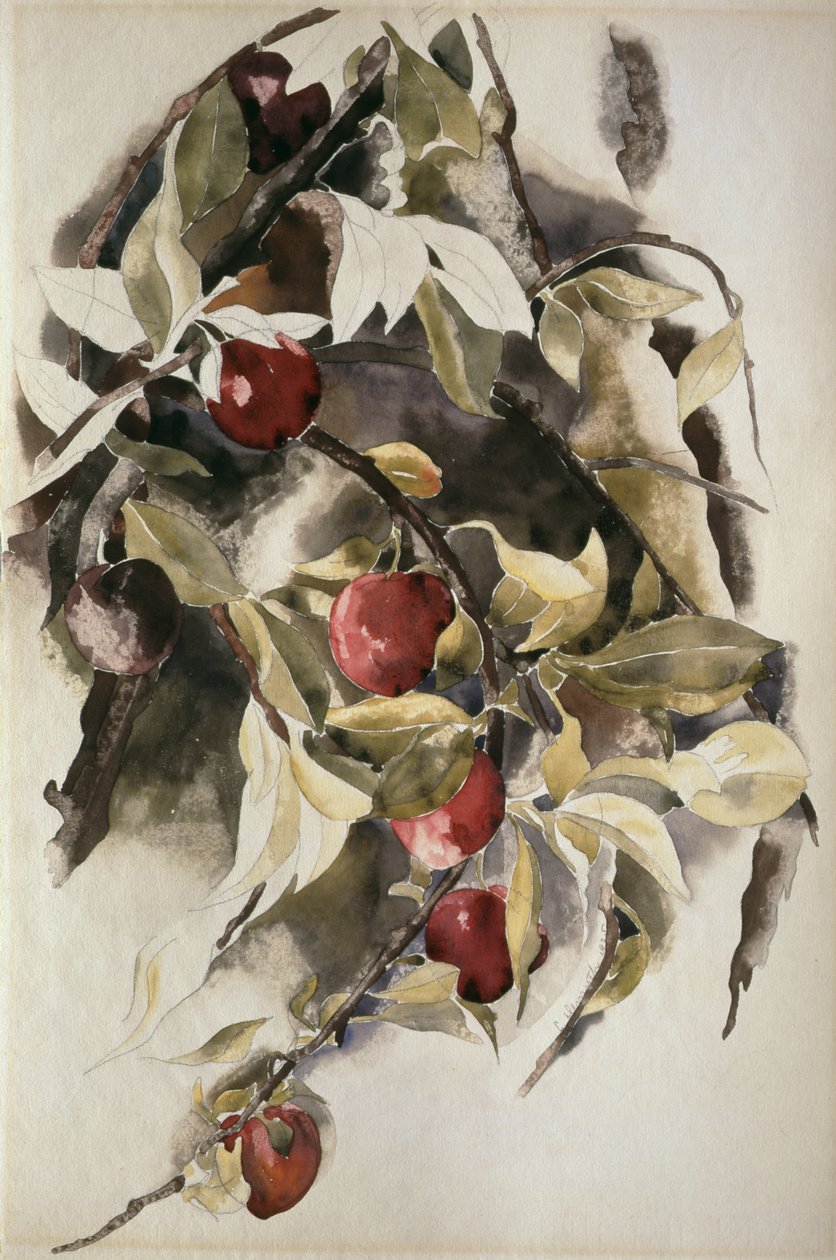 李子，1925年 作者 查尔斯·德穆斯