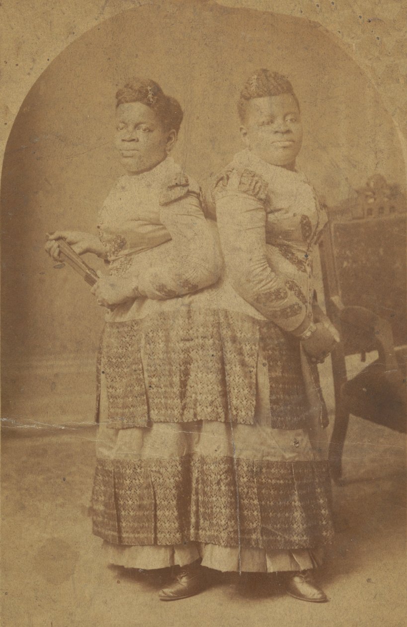 米莉和克里斯蒂娜-麦考伊的相纸印刷品，1880年代-1890年代。 作者 查尔斯·艾森曼