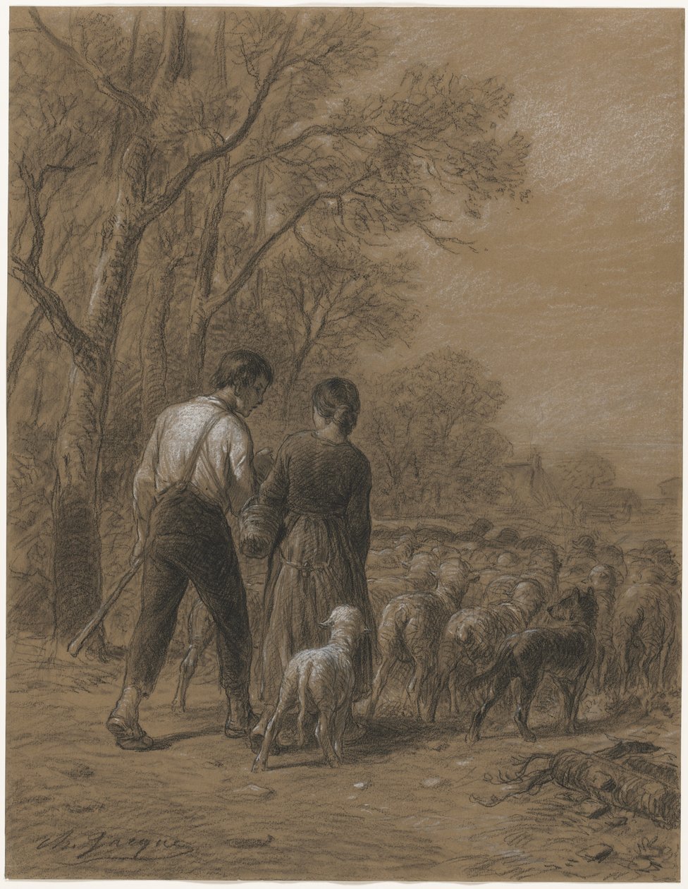 引入绵羊，1800年代。 作者 查尔斯·埃米尔·雅克
