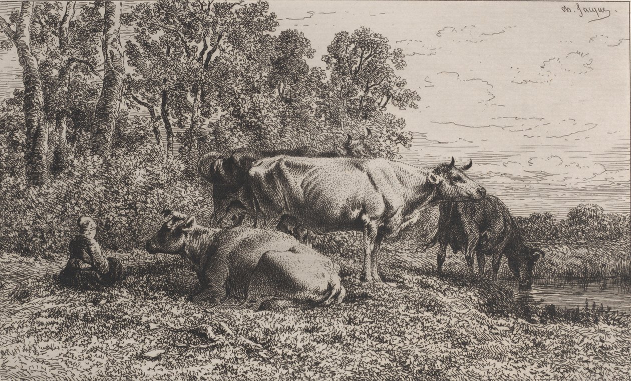 荷兰牛，1864年。 作者 查尔斯·埃米尔·雅克
