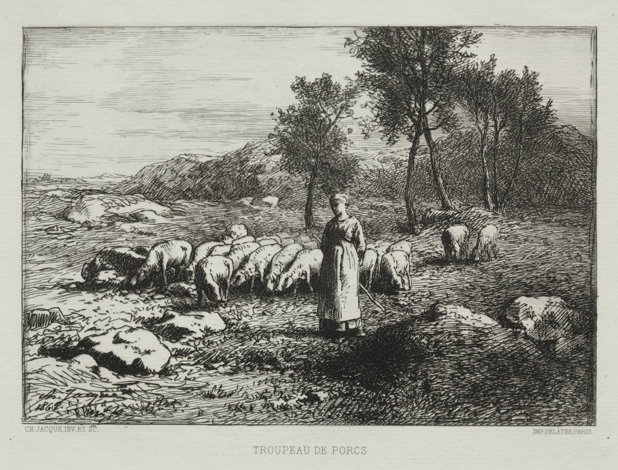 猪群，1868年。 作者 查尔斯·埃米尔·雅克