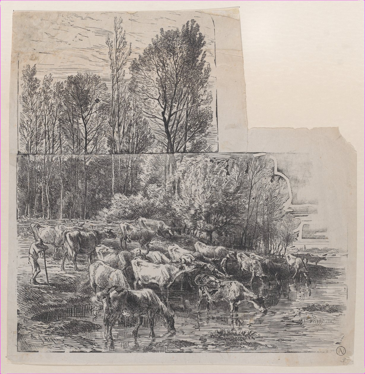 牧民和牛在福特，约1850年。 作者 查尔斯·埃米尔·雅克