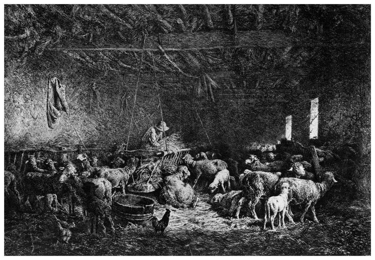 La Bergerie，《牧羊人》，1825-1890 1924年。 作者 查尔斯·埃米尔·雅克