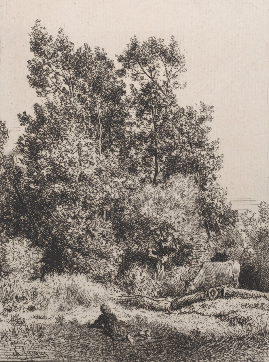 景观，1864年。 作者 查尔斯·埃米尔·雅克