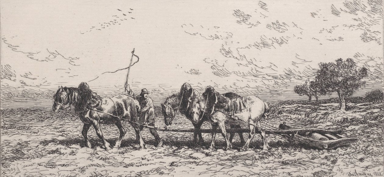 Le Rouleau, 1868年。 作者 查尔斯·埃米尔·雅克