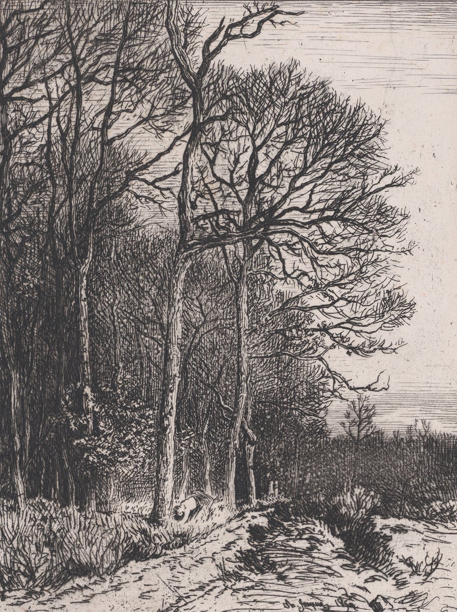 Lisière du Bois, 1846. 作者 查尔斯·埃米尔·雅克