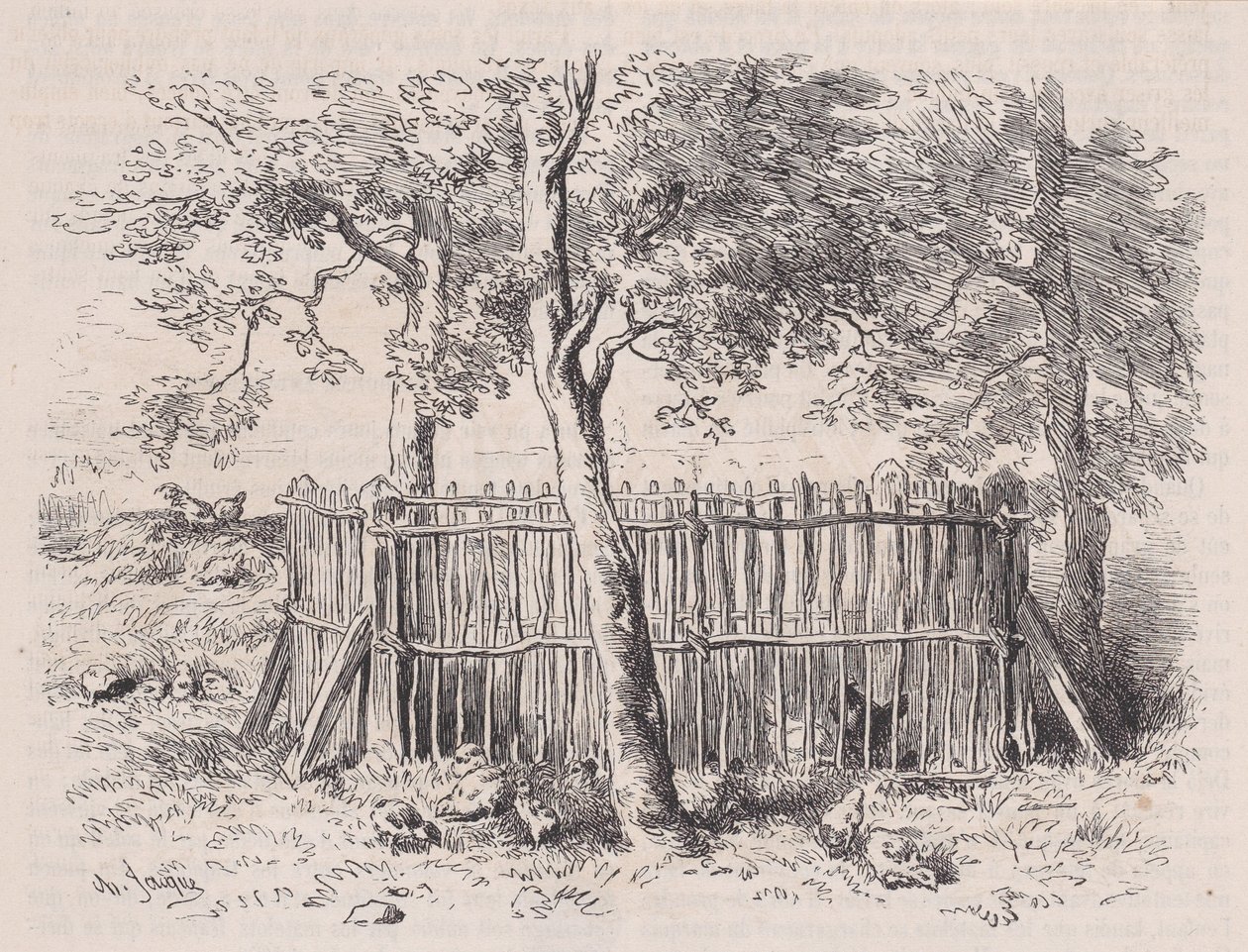 学生公园，来自皮托雷斯克博物馆，约1852年。 作者 查尔斯·埃米尔·雅克
