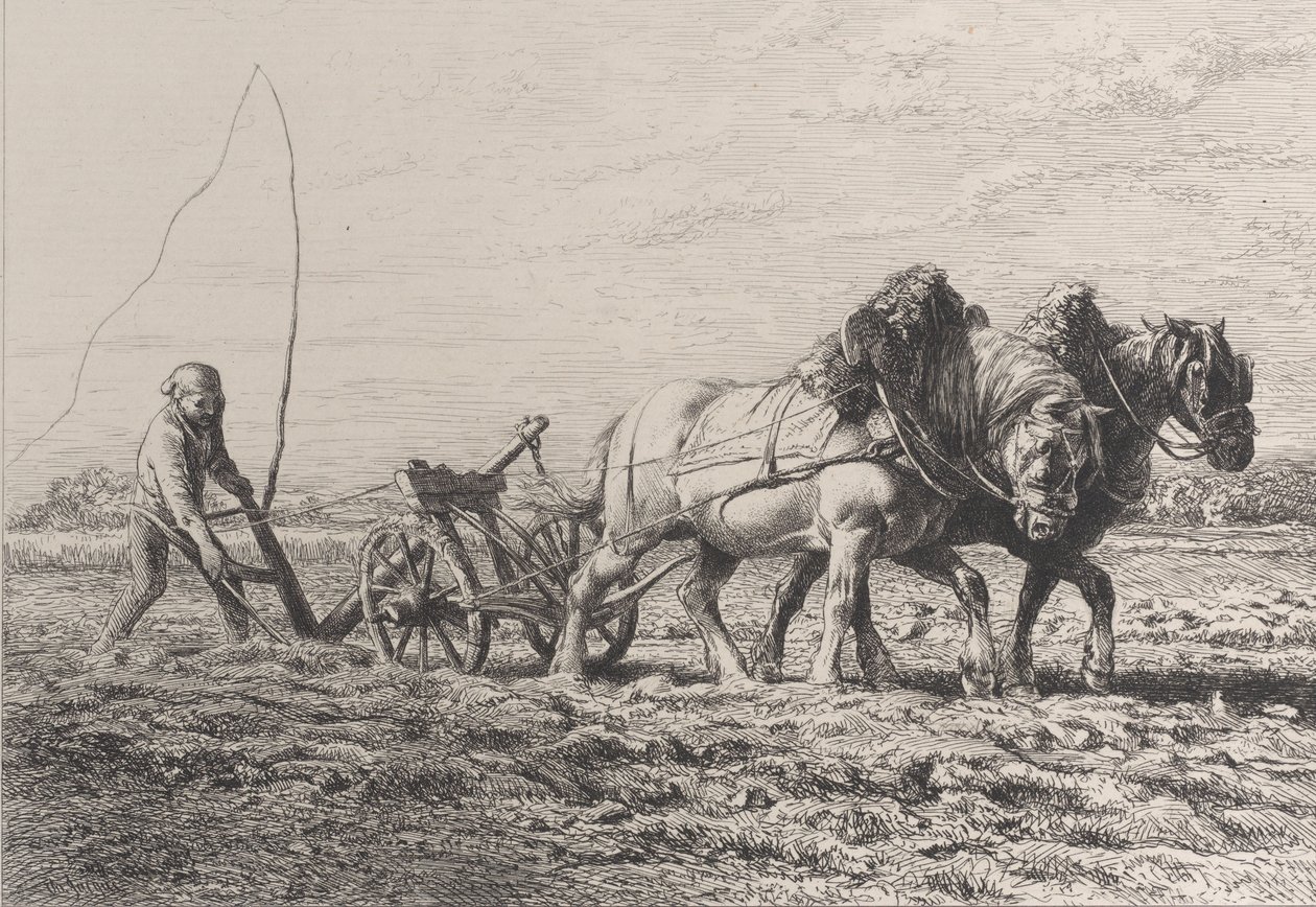 耕作，1864年。 作者 查尔斯·埃米尔·雅克