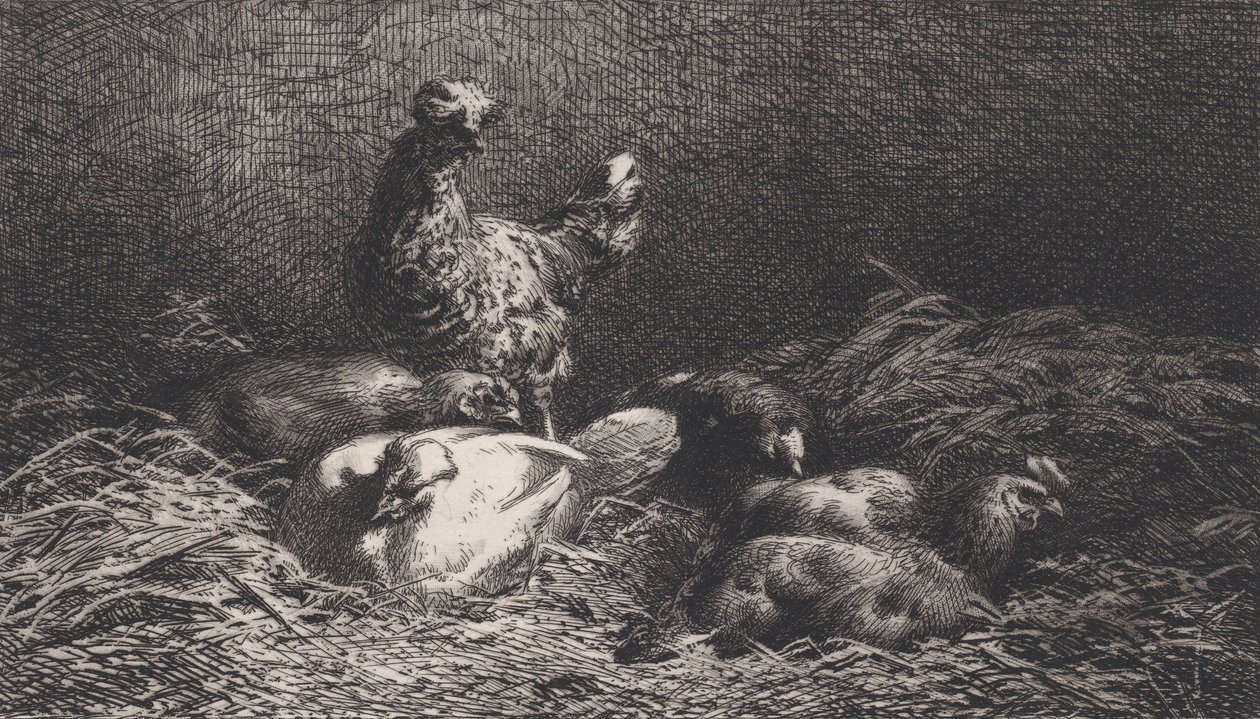 Poules, 1867. 作者 查尔斯·埃米尔·雅克