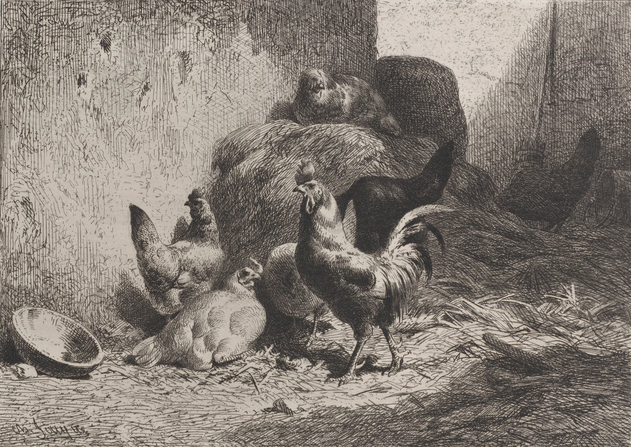 公鸡和母鸡，1864年。 作者 查尔斯·埃米尔·雅克