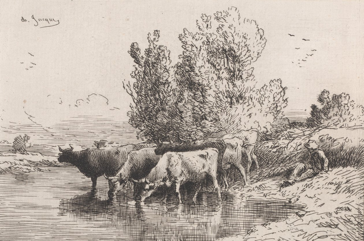 槽》，1864年。 作者 查尔斯·埃米尔·雅克