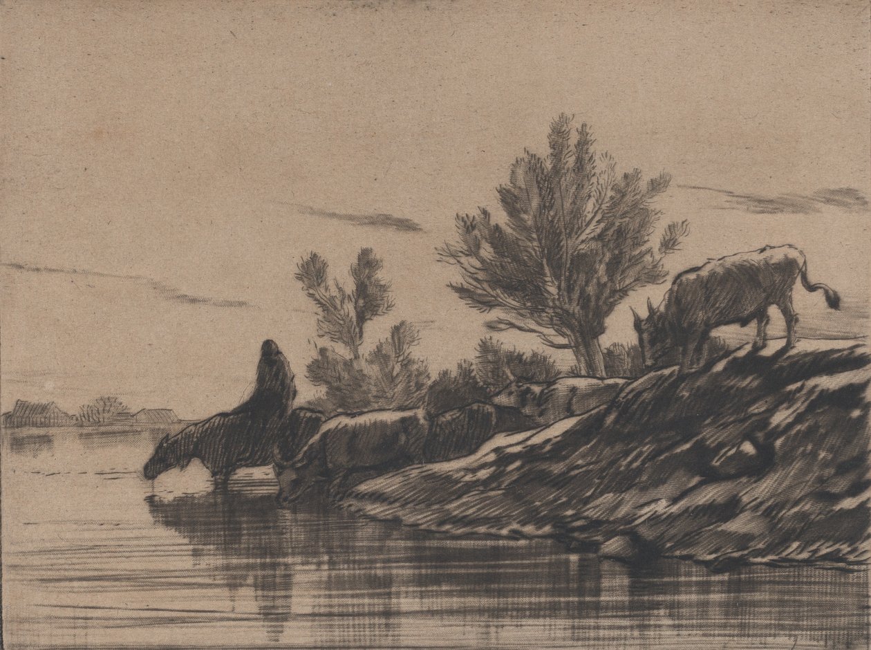 饮水洞》，1848年。 作者 查尔斯·埃米尔·雅克