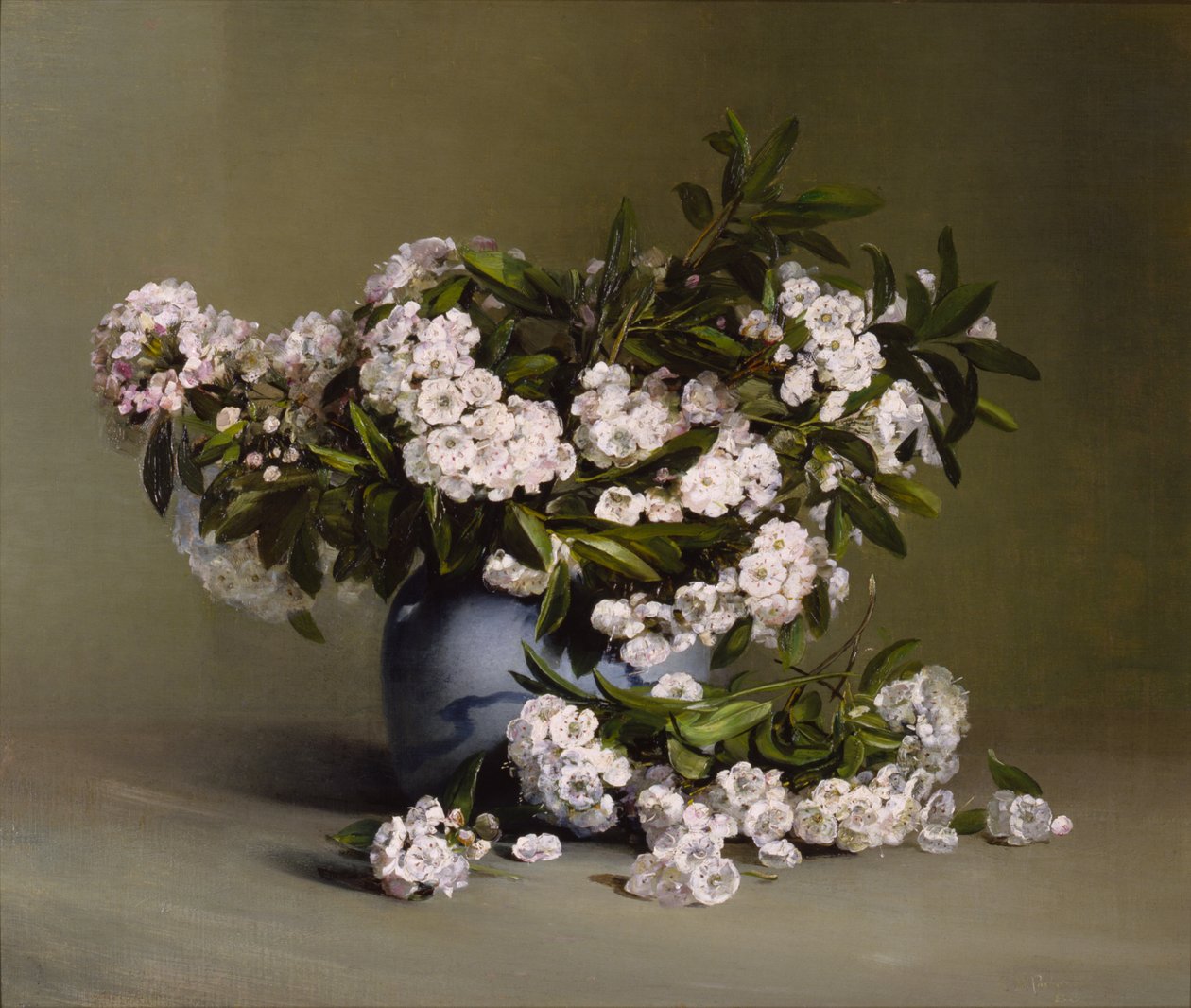 山桂花，1888年。 作者 查尔斯·伊森·波特