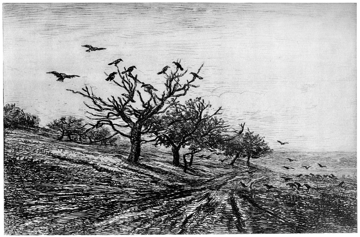 乌鸦树，1840-1875年，1924年 作者 查尔斯·弗朗索瓦·杜比尼