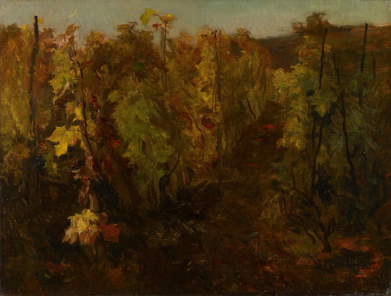 La Vigne [葡萄树], 1860-1863. 作者 查尔斯·弗朗索瓦·杜比尼