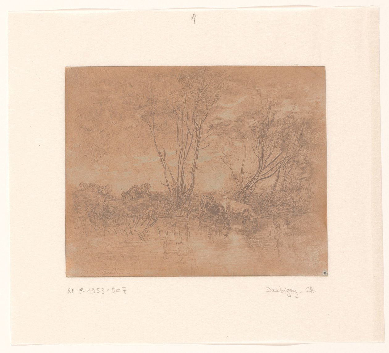 饮牛景观
Vaches à l