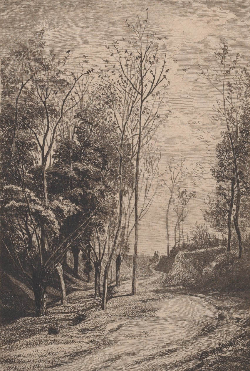 小鸟，1850年。 作者 查尔斯·弗朗索瓦·杜比尼