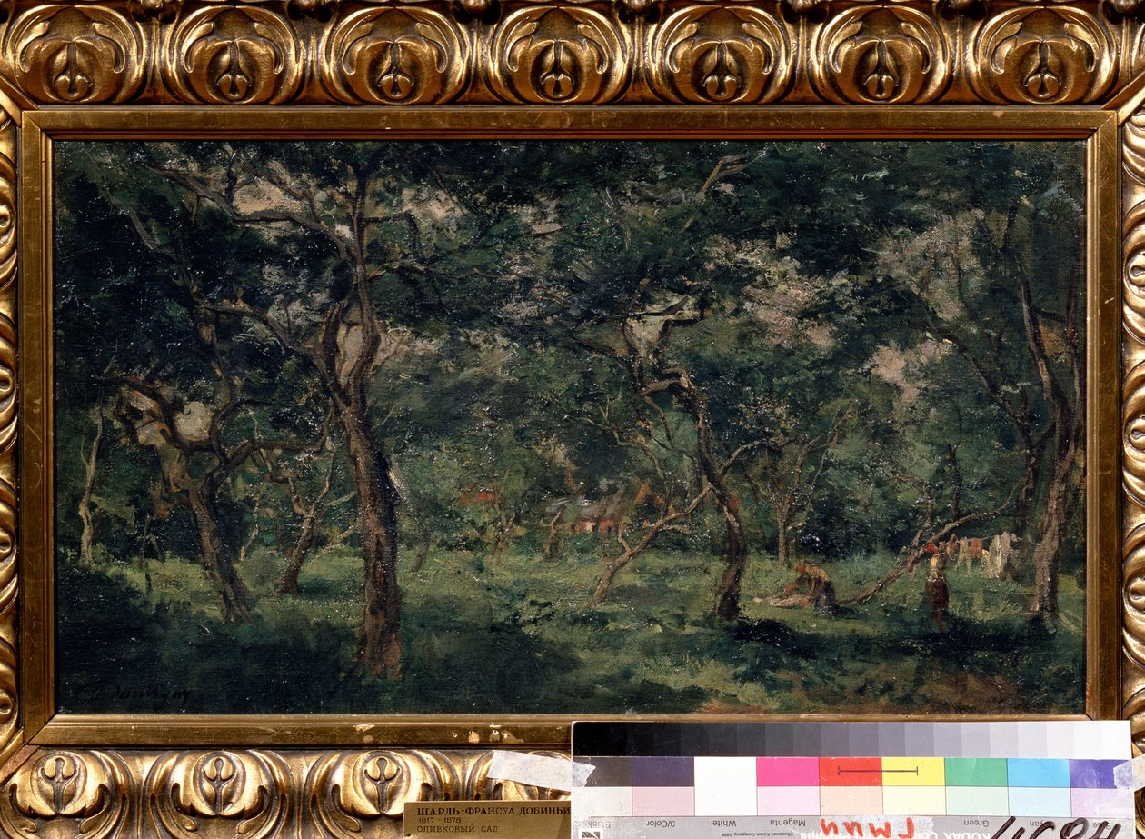 "查尔斯-弗朗索瓦-道比尼（1817-1878 年）的绘画作品《橄榄园》（L