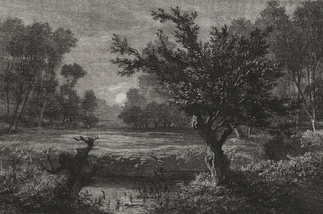1845年，安迪莉山谷（Andilly Valley）的月出（Moonrise）。 作者 查尔斯·弗朗索瓦·杜比尼