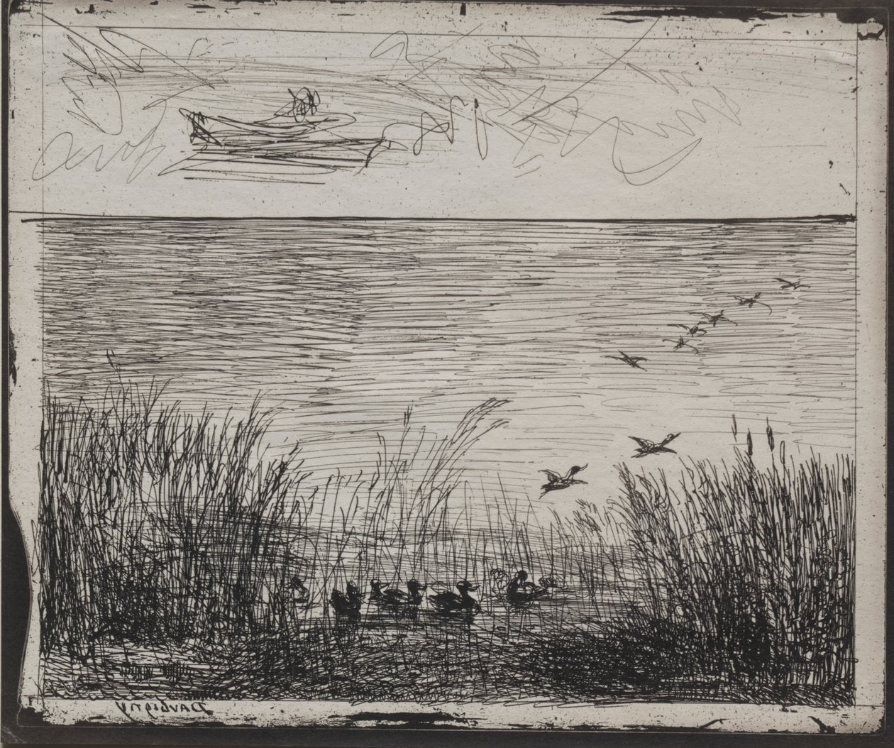 鸭子沼泽，原版1862年，1921年印刷。 作者 查尔斯·弗朗索瓦·杜比尼