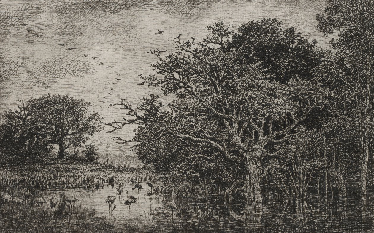 有鹳鸟的沼泽 作者 查尔斯·弗朗索瓦·杜比尼