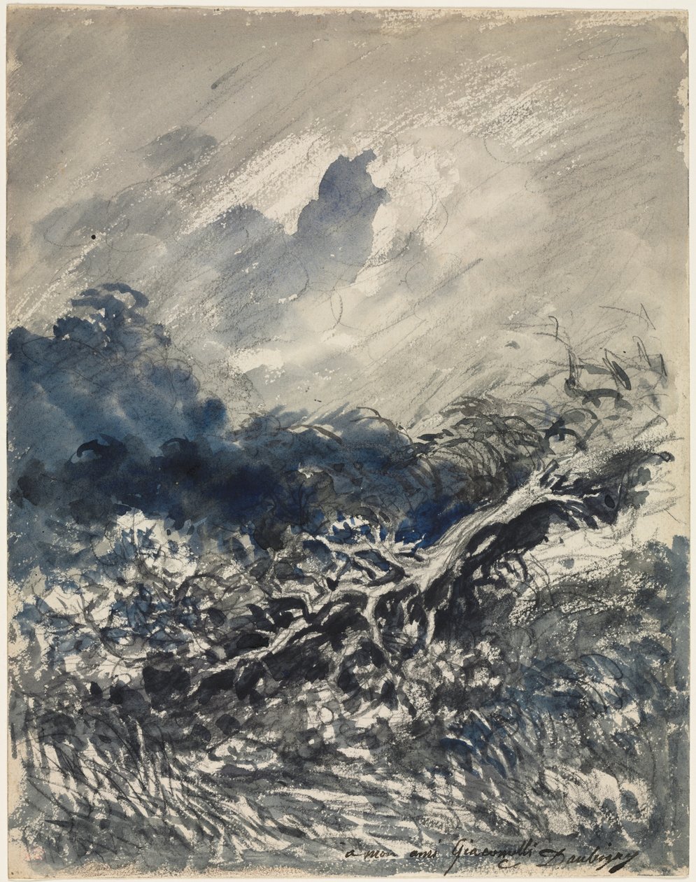 橡树和芦苇，约1873年（蓝色和黑色水洗）。 作者 查尔斯·弗朗索瓦·杜比尼