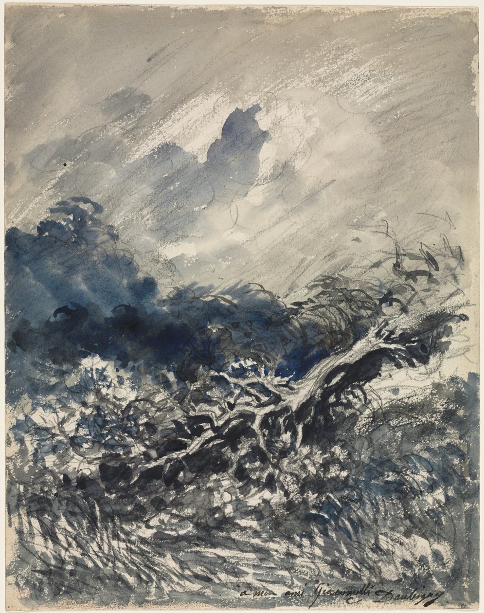 橡树和芦苇丛c。 1873年。 作者 查尔斯·弗朗索瓦·杜比尼