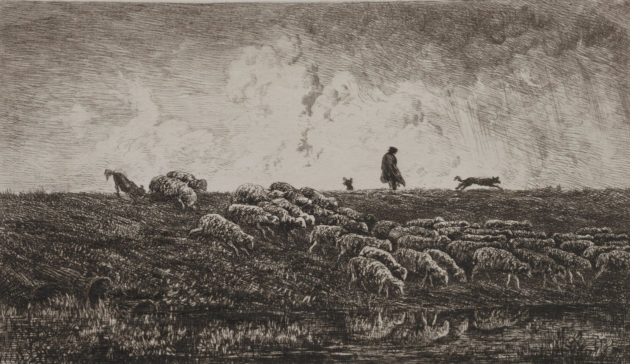 淋浴c。 1851年。 作者 查尔斯·弗朗索瓦·杜比尼