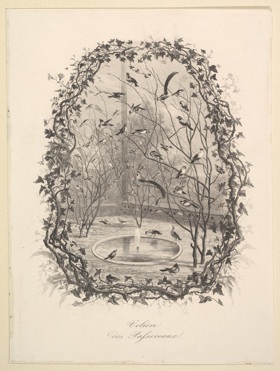 麻雀舍，1843年。 作者 查尔斯·弗朗索瓦·杜比尼