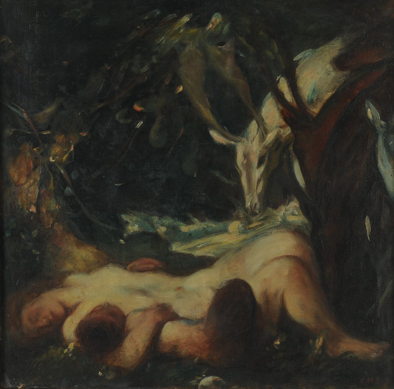 研究睡眠木若虫，1903-06 作者 查尔斯·哈斯伍德·香农