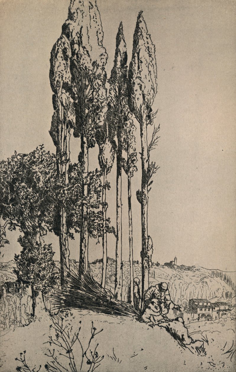 锡耶纳附近的柏树，1903年 作者 查尔斯·霍尔罗伊德（Charles Holroyd）