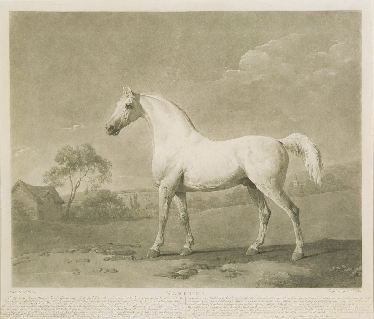 Mambrino，追随George Stubbs，1788年（mezzotint） 作者 查尔斯·霍华德·霍奇斯