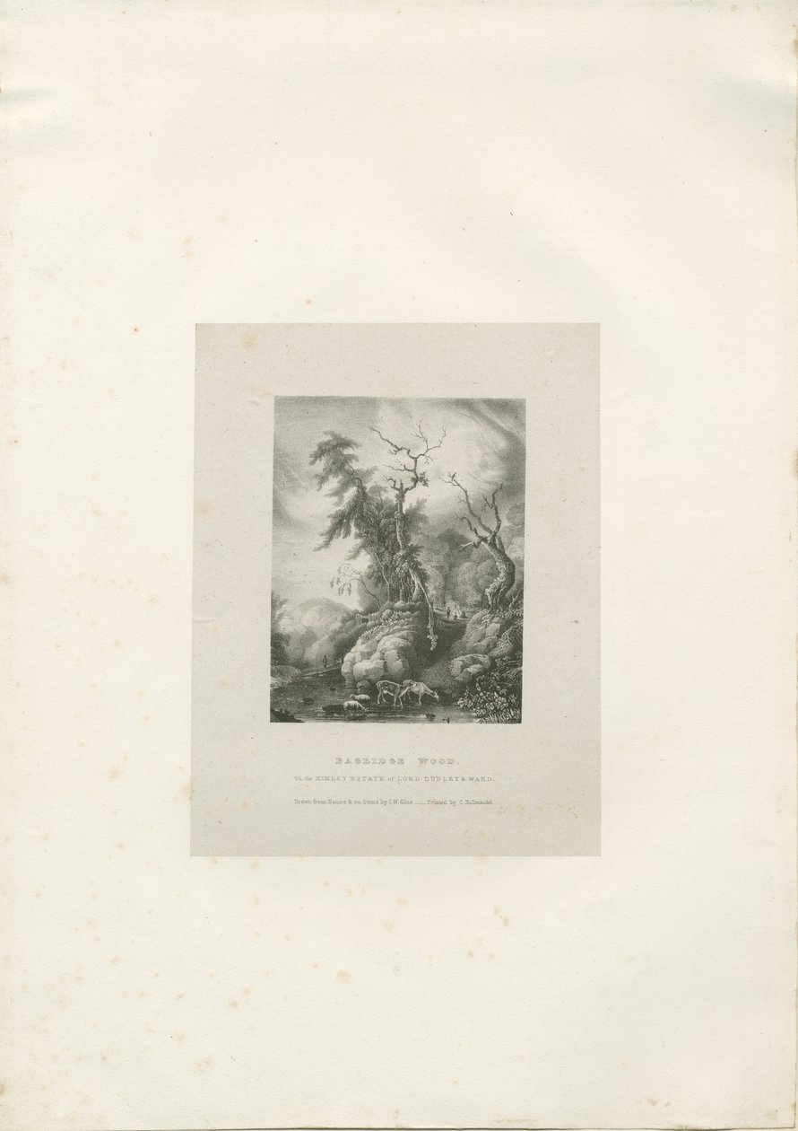 Himley Estate-&39;Bagridge Wood&39;：版画，nd [1789-1850]（印刷） 作者 查尔斯·约瑟夫·赫尔曼德尔