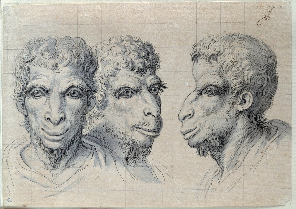 对三位男性头像的研究，回顾了 17 世纪 Charles Lebrun (Le Brun) (1619-1690) 绘制的骆驼的相貌。 暗淡。 0,22x0,32 米。 巴黎，卢浮宫博物馆 作者 查尔斯·勒布朗