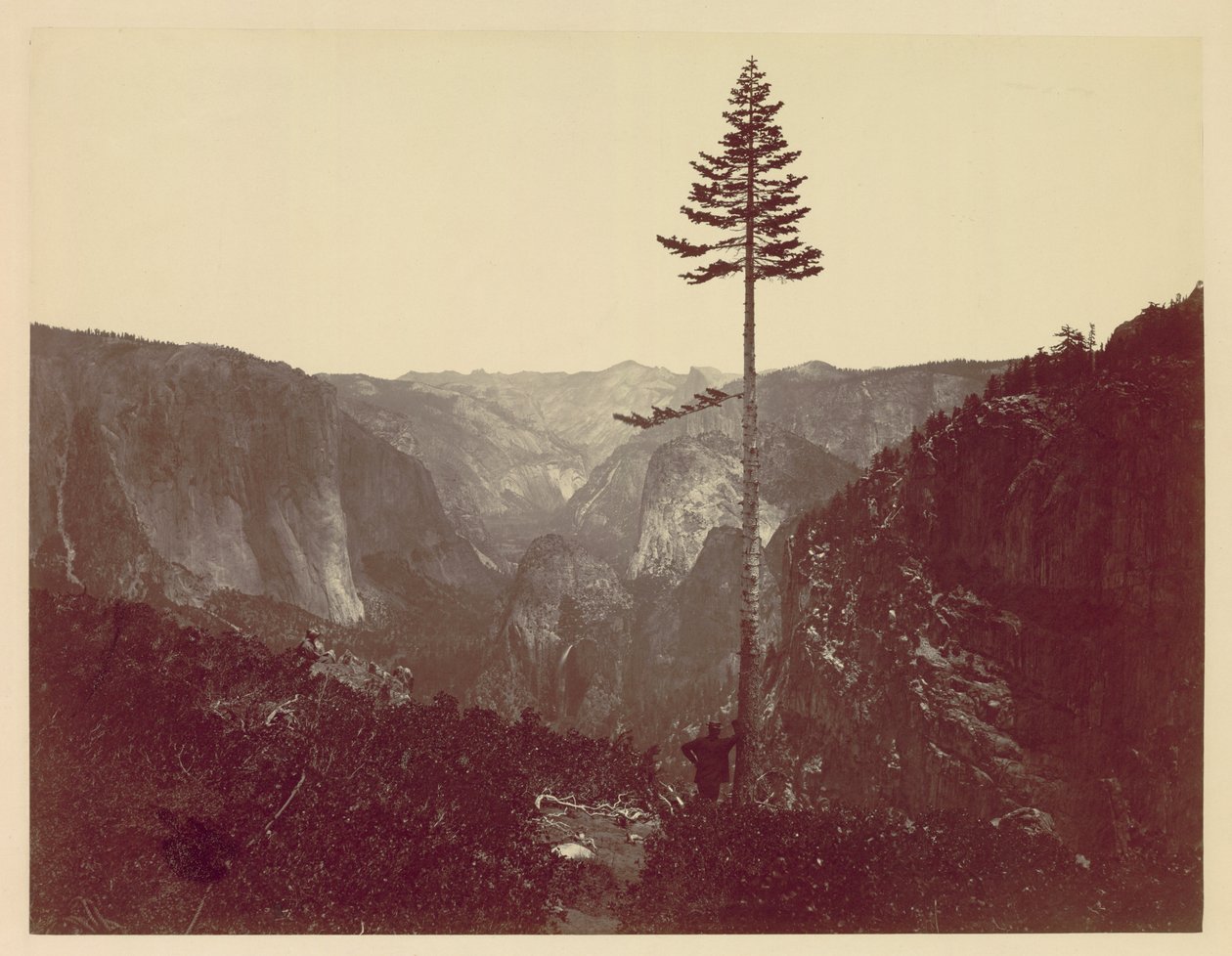 Mariposa Trail的优胜美地山谷c。 1865年。 作者 查尔斯·莱安德·杂草