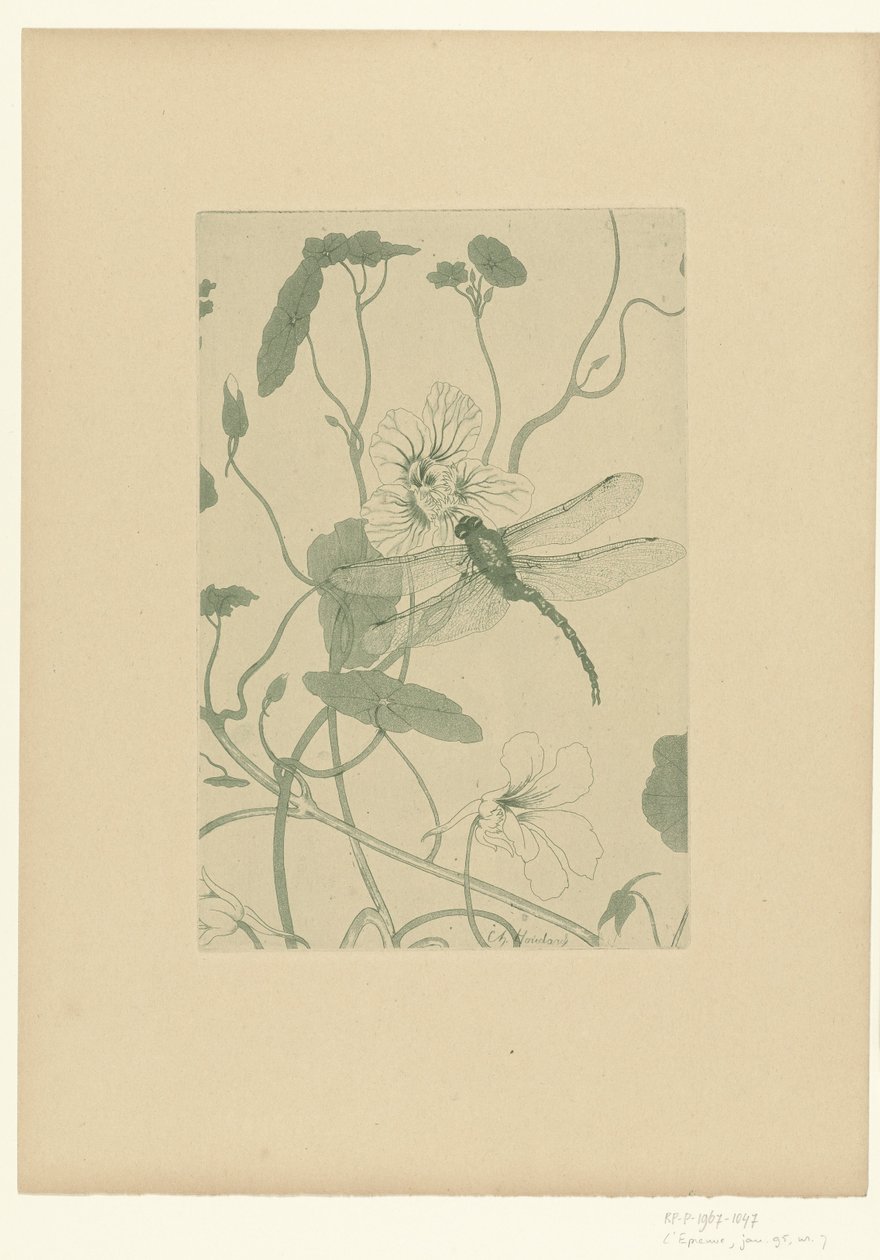 金莲花上的蜻蜓
花朵
爱之花（系列名称） 作者 查尔斯·路易斯·霍达德