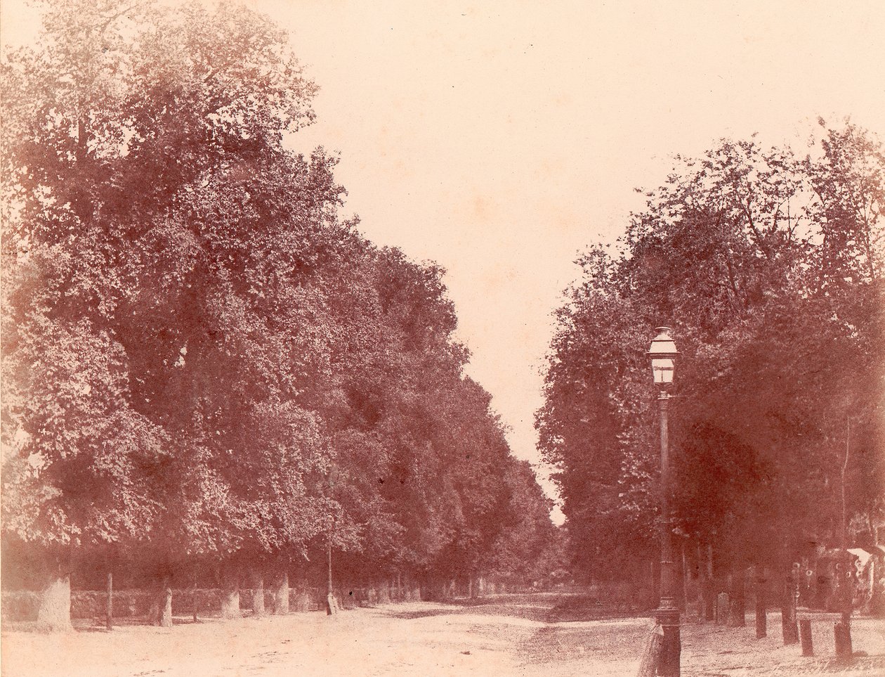 绿树成荫的大道，1850-53年。 作者 查尔斯·马维尔