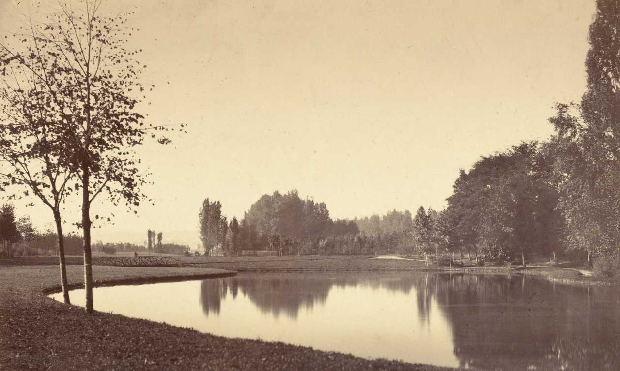 布洛涅森林，1858 年（照片） 作者 查尔斯·马维尔